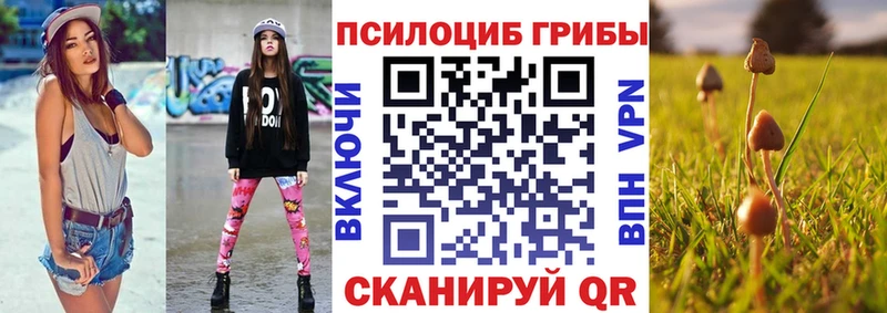 OMG tor  мориарти состав  Псилоцибиновые грибы Psilocybe  как найти   Томари 